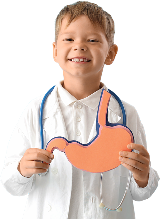 Child Doctor holding model of stomach